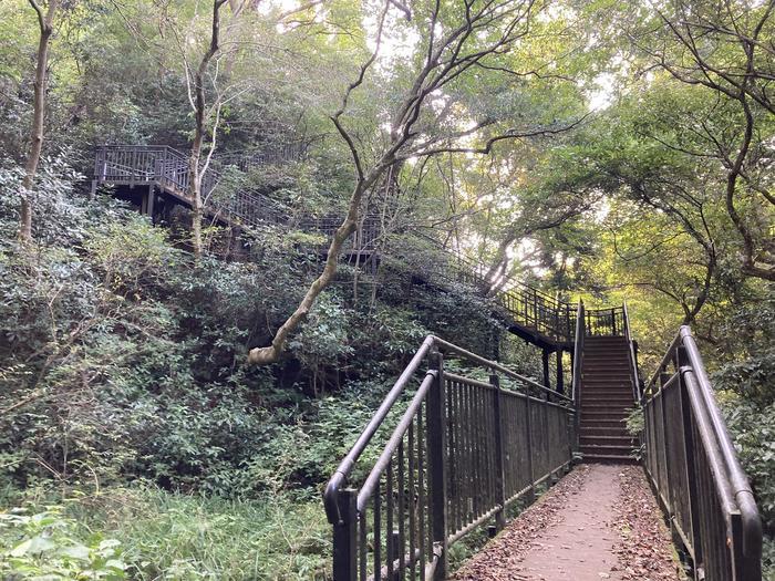 【神奈川・横浜】横浜市最高峰『大丸山』お気軽ハイキングでちょっと山頂へ♪