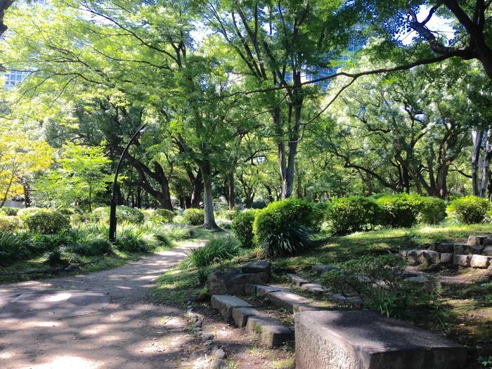 東京／お散歩好きな方必見！都心のど真ん中にこんな緑豊かな場所があるなんて・・・