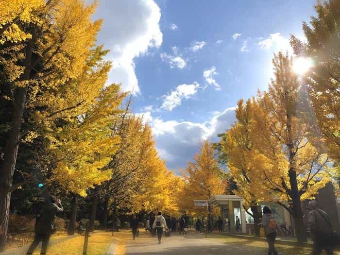 北海道立真駒内公園の紅葉ランで絶景を堪能しました