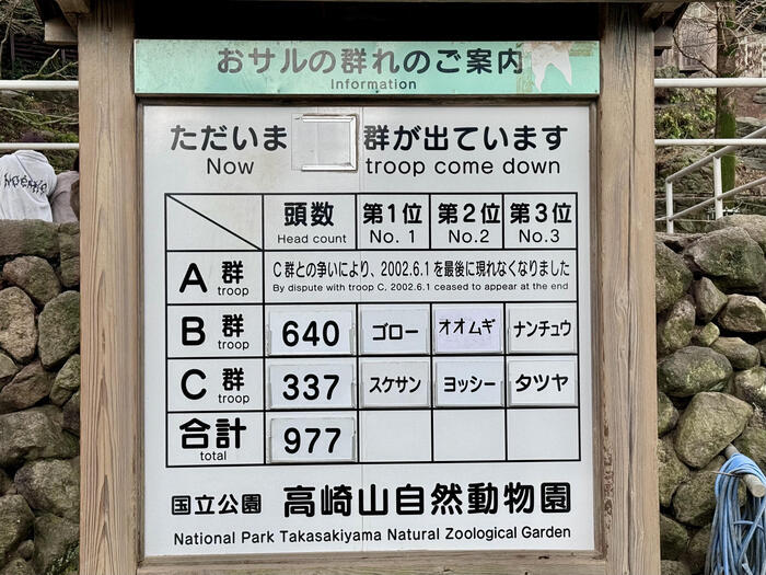 【大分】おサルさんの聖地でこんにちは！高崎山自然動物園