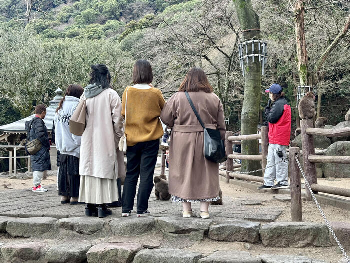 【大分】おサルさんの聖地でこんにちは！高崎山自然動物園