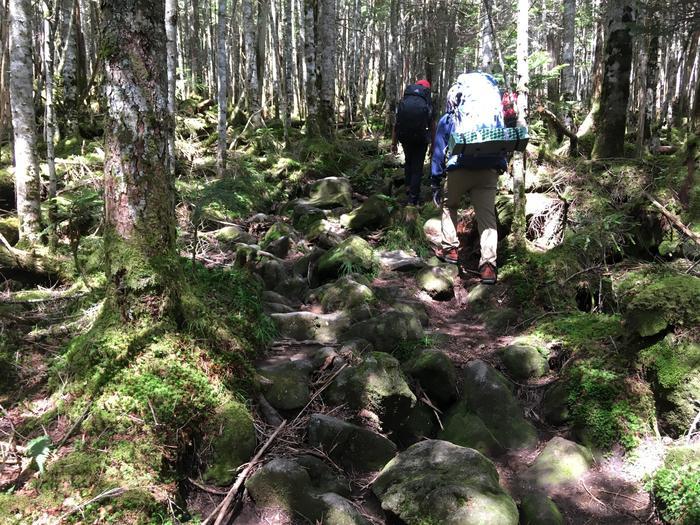 北八ヶ岳の「天狗岳」に初めて登ってきました。