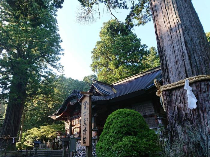 【山梨】富士山の麓・富士吉田市を自転車で周ってみた ～おすすめスポット7選も紹介します～