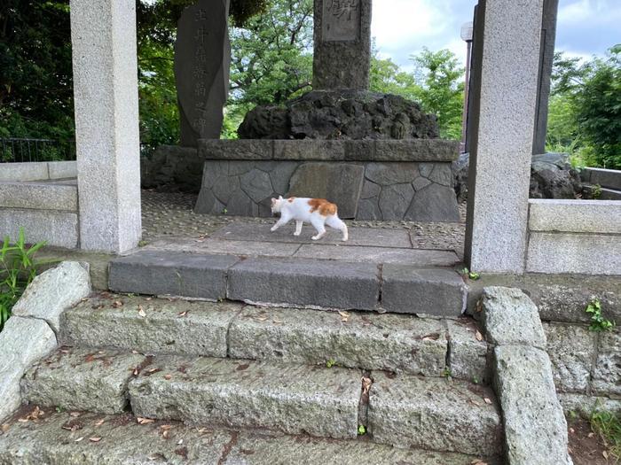 乗り物好きな子供と行きたい♪東神奈川～横浜・みなとみらい周辺のお散歩スポット11選