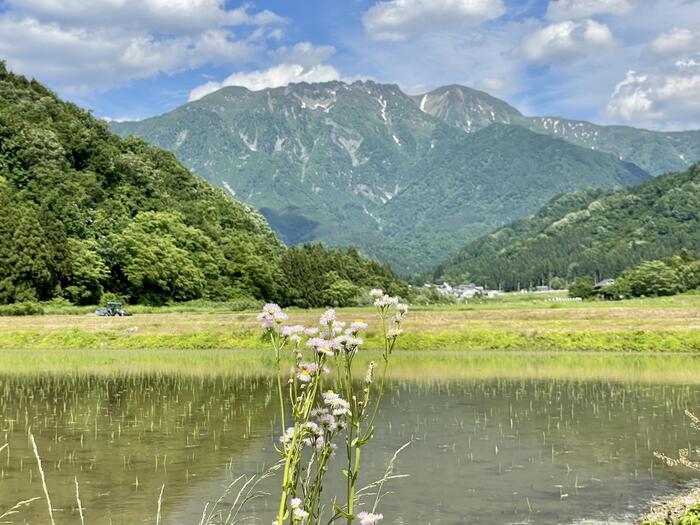 【新潟】八海山の絶景を望むトミオカホワイト美術館