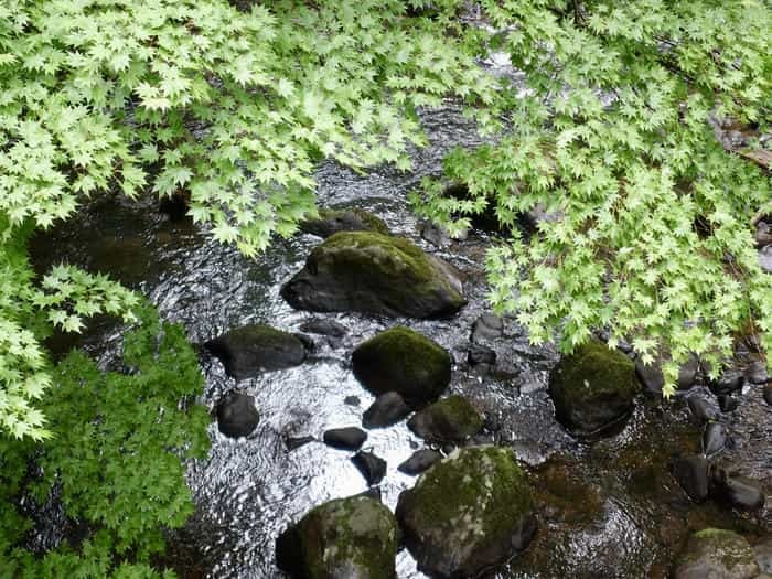 【山形】出羽三山は12年に一度の丑歳御縁年を迎えています