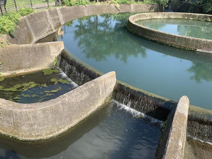 【神奈川県川崎市】アートな土木を見に行こう！水争いから生まれた幾何学の美～久地円筒分水～