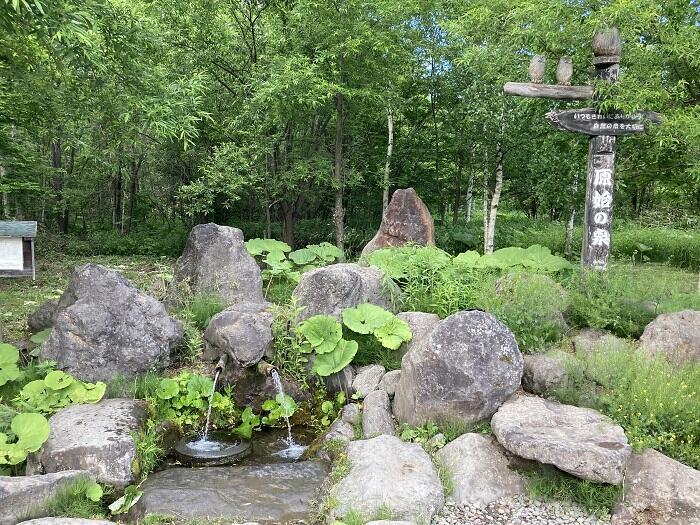 【富良野・山部】北海道で気持ちのいい朝を迎えたい人におすすめの穴場宿「太陽の里」