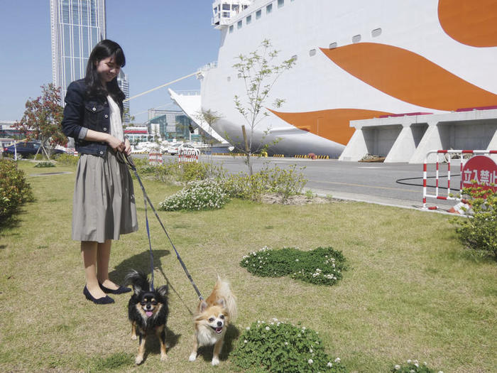 愛犬といくワンダフルな旅！愛犬と一緒に巡る九州ツアーをご案内します