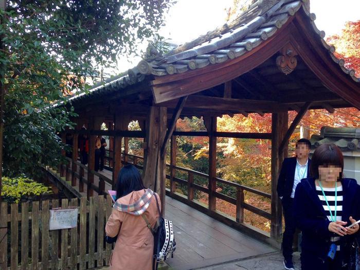 京都　東福寺の紅葉は、やはり圧倒的に美しかった。