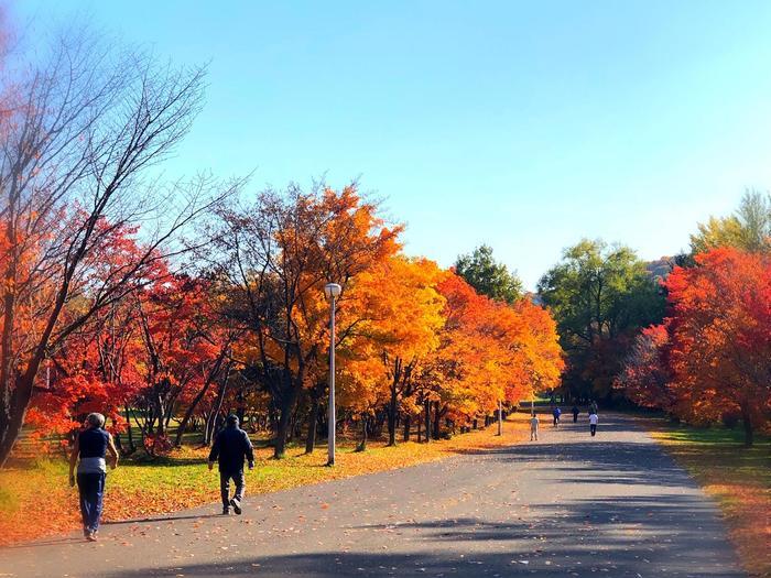 北海道立真駒内公園の紅葉ランで絶景を堪能しました