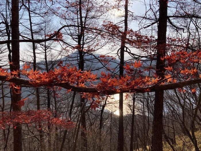 【紅葉登山】上毛三山（赤城山・榛名山・妙義山）晩秋の山旅