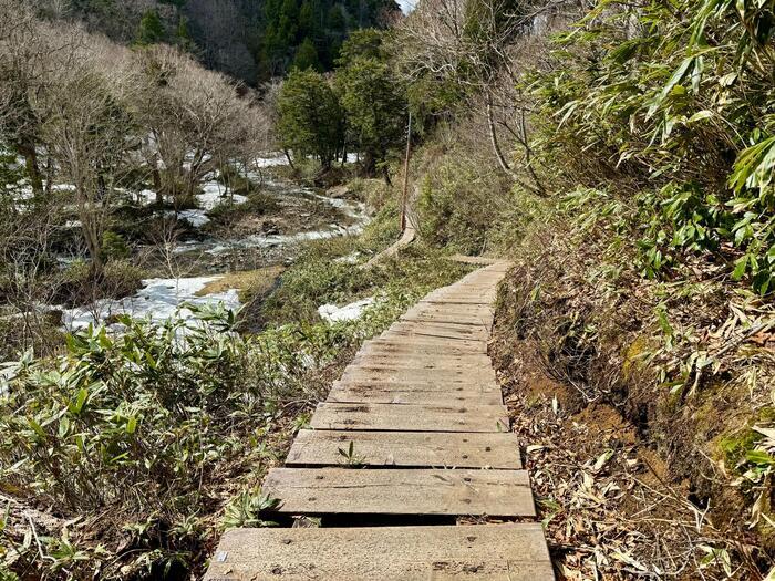 7回目の尾瀬はゴールデンウイーク後半に（群馬・福島）お疲れ様でした！