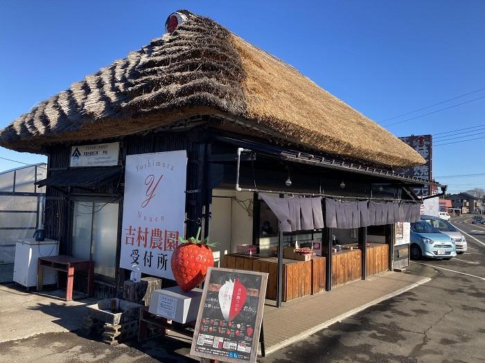 【栃木県・益子町】約10種類のいちごを食べ比べできる! いちご狩り天国「吉村農園」