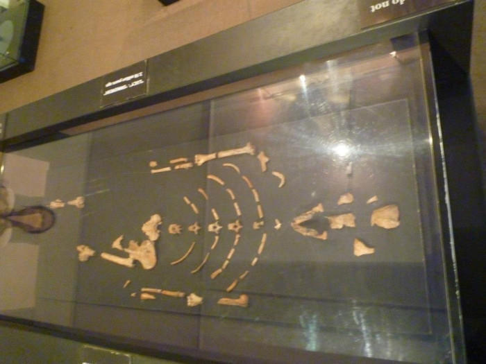 【エチオピア】現人類のルーツ、世界遺産オモ川流域の伝統的村を訪問 Part.1