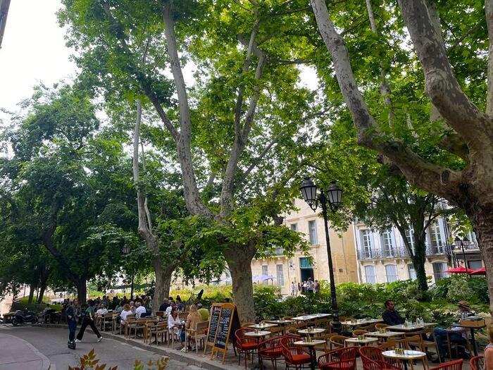 【フランス】バルセロナから列車で3時間、フランスの学生都市モンペリエへ