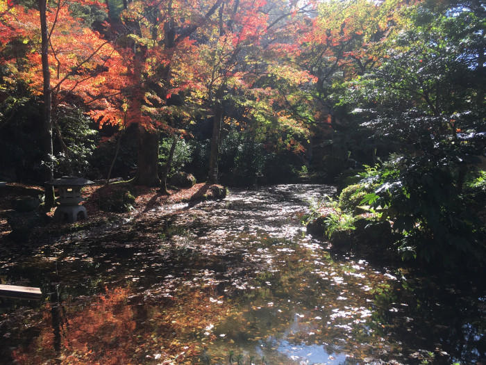 天上に建つ岐阜城！金華山登山も紅葉も見どころたくさん