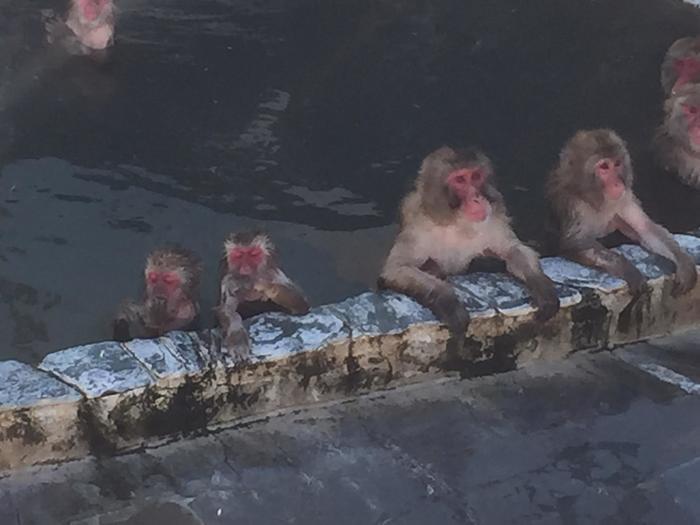 1泊2日 函館ご当地グルメを食べまくる