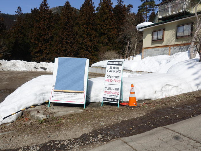 【長野】世界でここだけ！ニホンザルが温泉に入る地獄谷野猿公苑