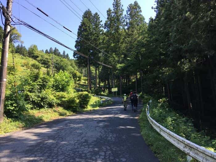 【奥武蔵で眺望の良い山】丸山・堂平山を縦走。最後に襲った悲劇とは・・・