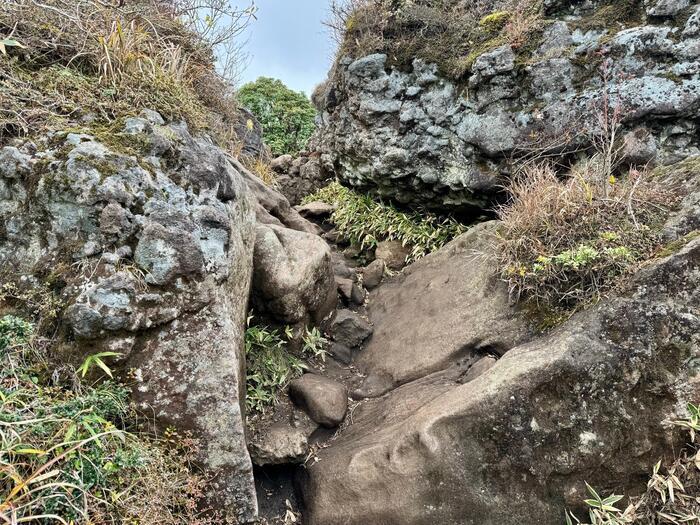 【日本百名山】26座目は摩訶不思議な世界が広がる久住山（大分県）