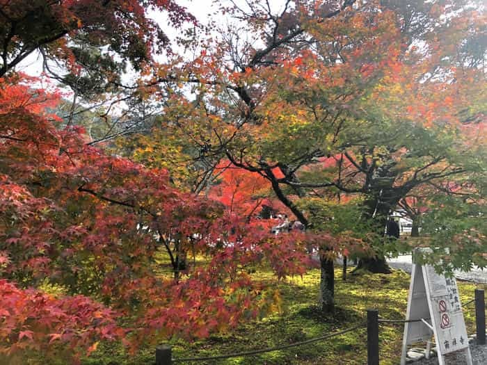 紅葉に食べられそう...秋の京都「南禅寺」と「永観堂」は素晴らしかった！