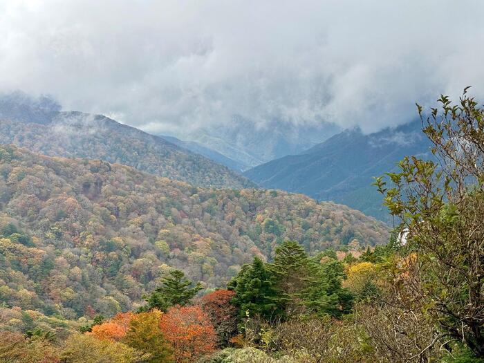 【日本百名山】23座目は天空の絶景ロードを見たくて剣山へ（徳島県）