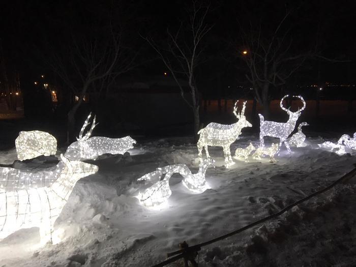 「北海道はね・・・冬がいいんですよ」