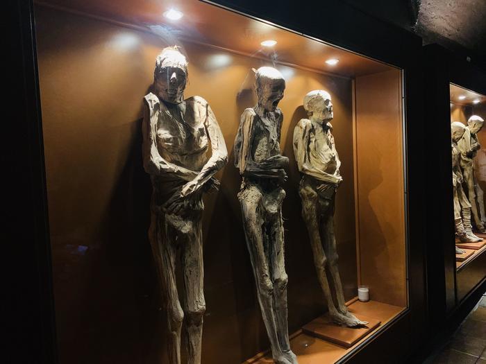 【メキシコ】グアナファトのミイラ博物館が私たちに教えてくれること