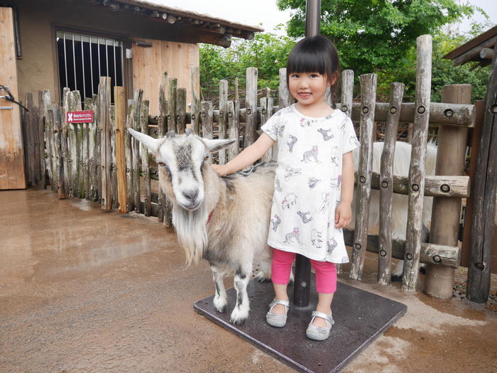 【徹底取材】よこはま動物園ズーラシアの攻略法・アクセス・混雑状況まで！家族サービスにもデートにもおすすめです！