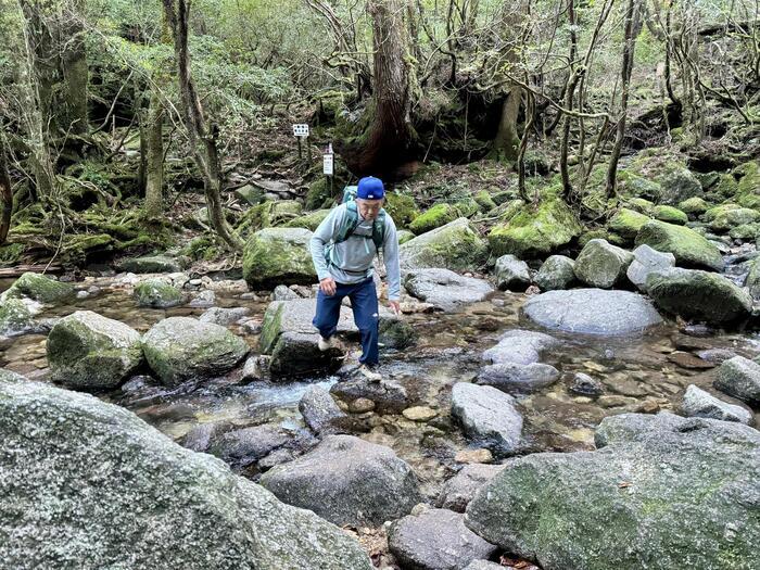 【鹿児島】屋久島の白谷雲水峡に行かれる方へ注意（2024年11月現在）