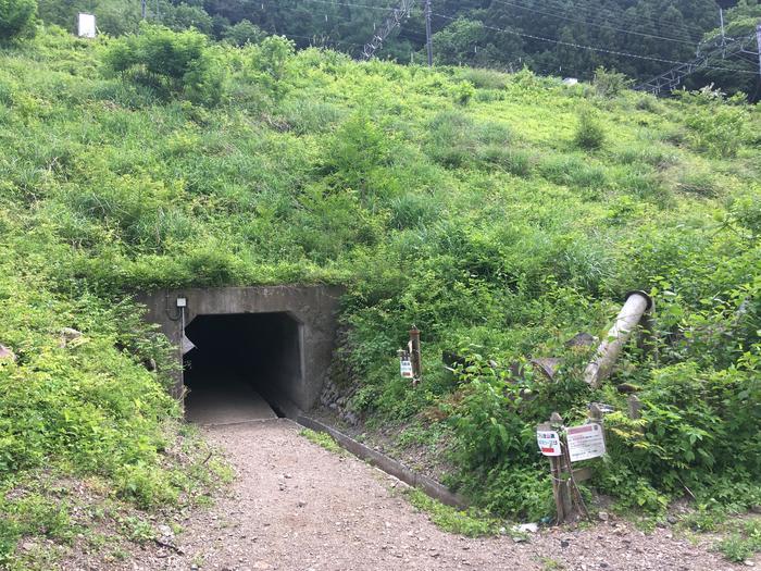 【奥武蔵】武川岳～焼山～二子山 縦走登山ルート