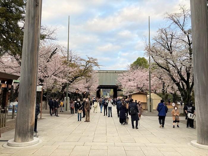 【千代田区】さくらまつりが4年ぶりに開催！千鳥ヶ淵緑道～ボート上から桜を愛でる