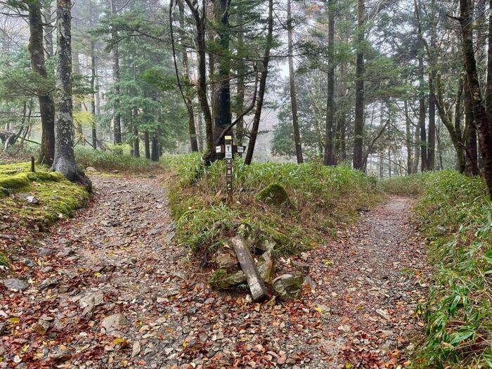 【日本百名山】24座目は大台ヶ原山を周回するはずが...（奈良県・三重県）