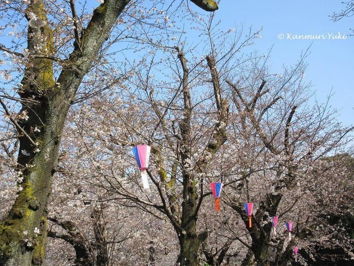 東京都北区と長崎をつなぐ彫塑家と言えば？！