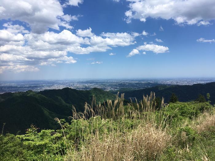 【山登り道】～低山には低山の魅力があるのです③～「奥高尾/陣馬山・景信山」