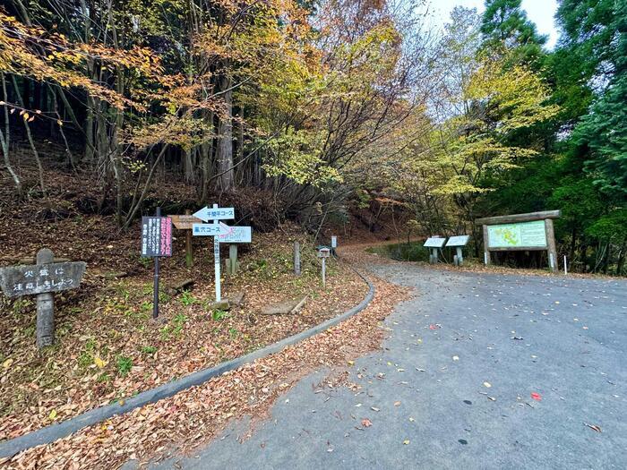 【日本百名山】27座目の祖母山は道迷いに注意が必要（大分県・宮崎県）