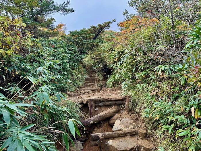 【日本百名山】20座目は紅葉の絨毯を見に安達太良山へ（福島県）