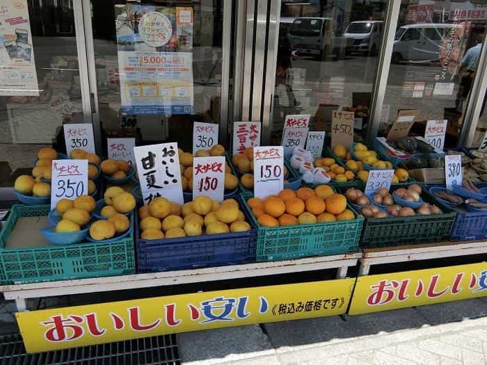 どこか懐かしい 和歌山県の魅力。旅行するならバスツアーがおすすめ！