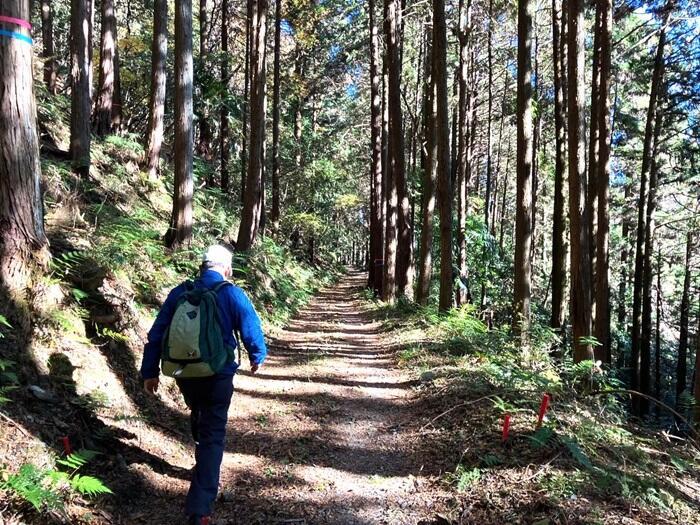 【群馬・藤岡市】桜山公園で森林空間を楽しむセラピー・トレイル体験モニターツアー