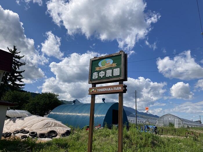 【北海道・富良野】幻の白いとうもろこし「雪の妖精」はまるでフルーツのような瑞々しさが魅力！