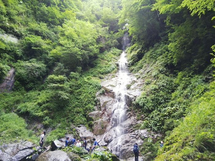 【真夏の低山登山】夏におすすめ！涼を求めて西丹沢・畦ヶ丸山を歩く