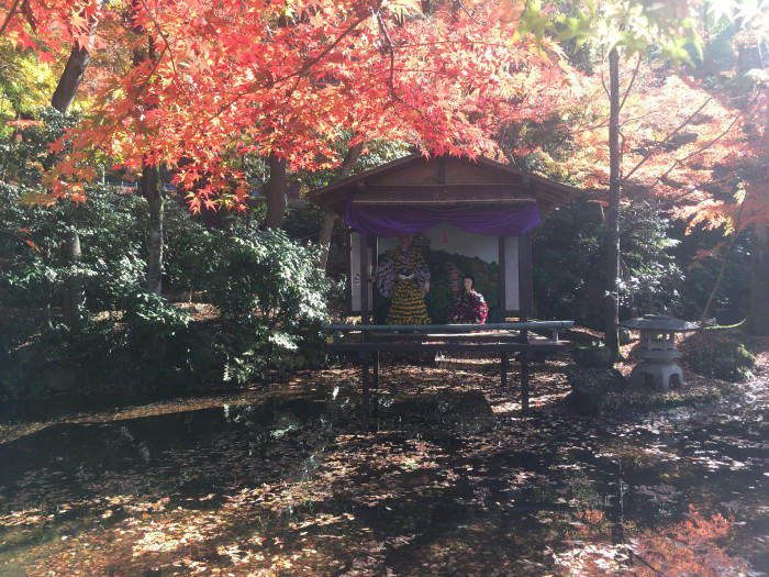 天上に建つ岐阜城！金華山登山も紅葉も見どころたくさん