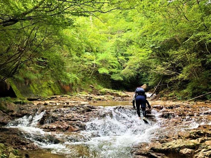 【神戸市内】涼しい＆リフレッシュ♪ビギナーでも楽しめる逢山峡の沢登り