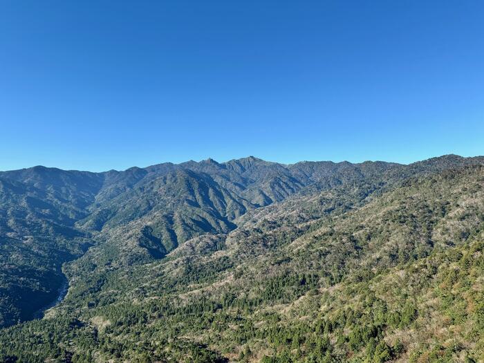 【鹿児島】屋久島の白谷雲水峡に行かれる方へ注意（2024年11月現在）