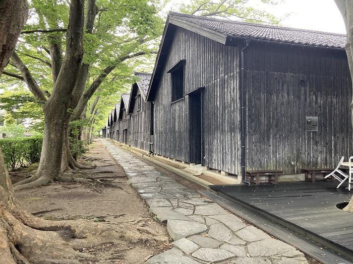 【やまがた出羽百観音】庄内三十三観音　山岳信仰の聖地と豊かな食・土地の恵み