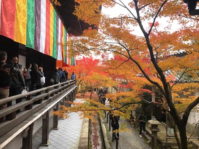 紅葉に食べられそう...秋の京都「南禅寺」と「永観堂」は素晴らしかった！