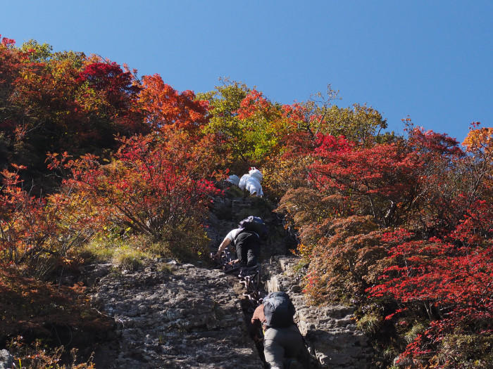 【愛媛県】西日本最高峰、紅葉の石鎚山と土小屋テラスの絶品ジビエコロッケを紹介♪