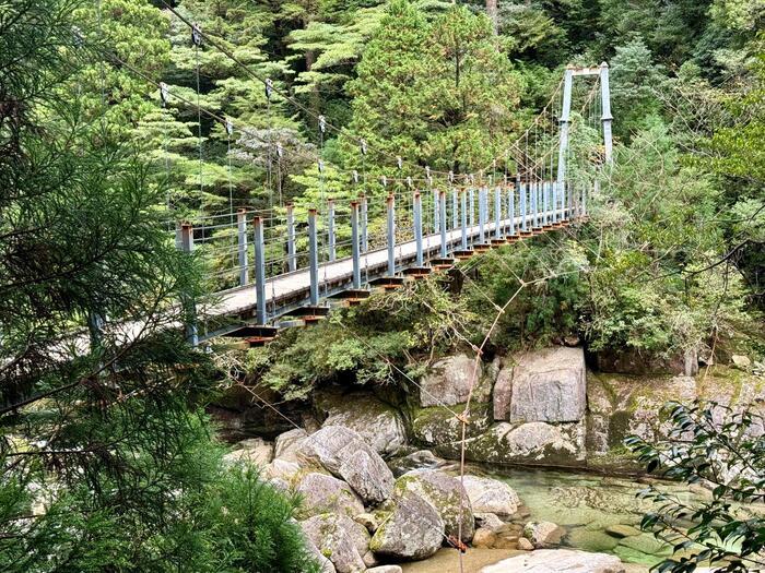 【鹿児島】ヤクスギランドは誰でも気軽に行ける自然植物園