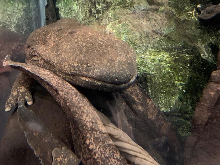 京都のど真ん中で「密」回避！？芝生に電車に水族館でゆっくりと休日を過ごそう！